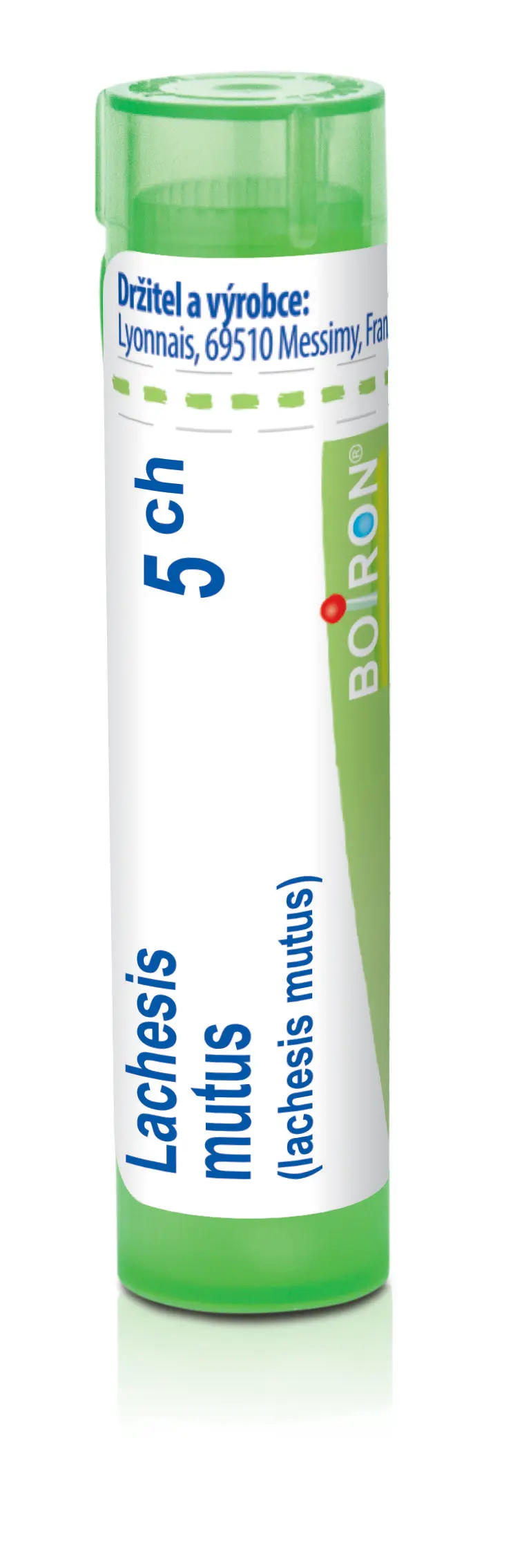 4519_LACHESIS MUTUS 5